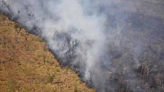 Bolivia recibe más ayuda de la comunidad internacional para combatir incendios forestales