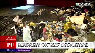 Callao: Bomberos solicitan fumigación de su local por acumulación de basura