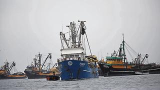 Pesca de anchoveta comienza el 12 de abril