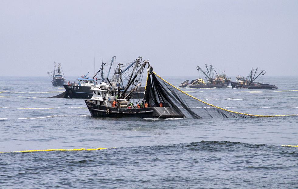 Se registró un desembarque de 1,641 millones de toneladas de anchoveta. (Foto: Produce)