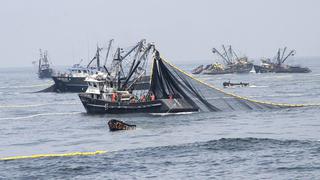 Produce propone menor alza de derechos de pesca para la captura de anchoveta