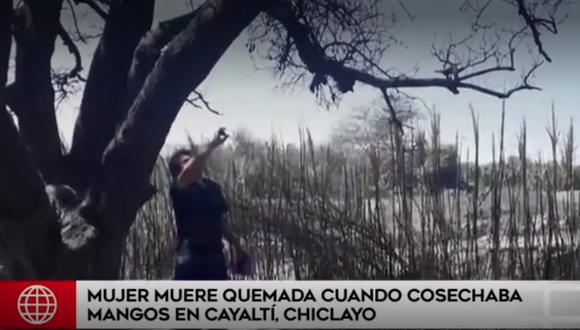 Madre fue alcanzada por el fuego mientras estaba en el árbol. (Captura América Noticias)