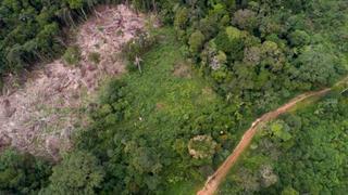 Estados Unidos y Noruega apoyarán al Perú para proteger la Amazonía