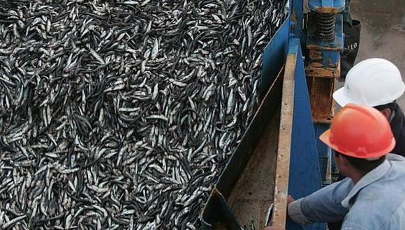 SNP indicó que la agilización de trámites mejora la competitividad de la industria pesquera y nos da impulso como país. (Foto: USI)