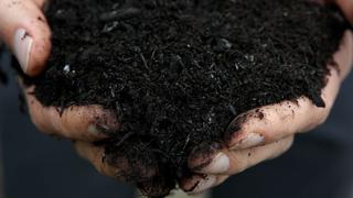 Washington promulga ley para compostaje de restos humanos