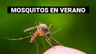 ¿Por qué los mosquitos pican a las personas?