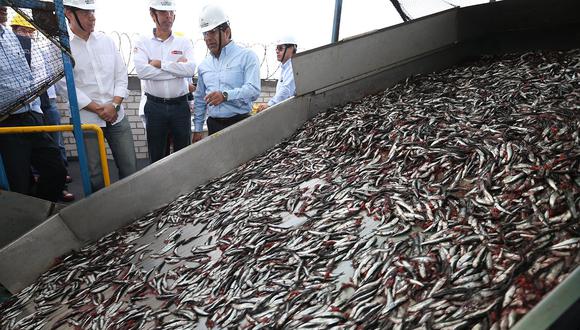 Las actividades extractivas del recurso anchoveta y anchoveta blanca quedarán suspendidas a partir de las 00:00 horas del día 8 de julio de 2019. (Foto: Andina)