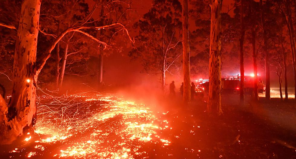 Para algunos científicos, el calentamiento global ha agravado la crisis de los incendios forestales, especialmente virulenta este año por el clima seco y cálido. (AFP)