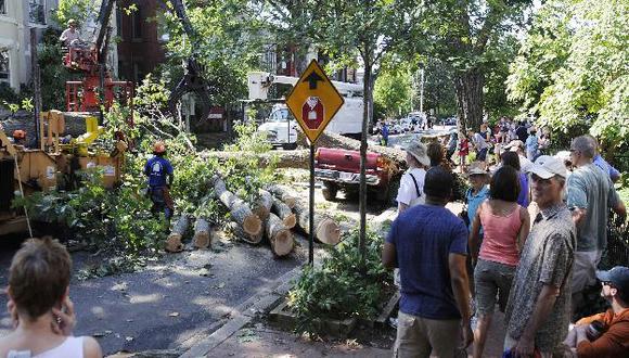 Los fuertes vientos arrasaron árboles en Washington. (Reuters)