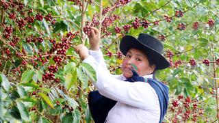 El mejor café del Perú es del Cusco y ella es la productora