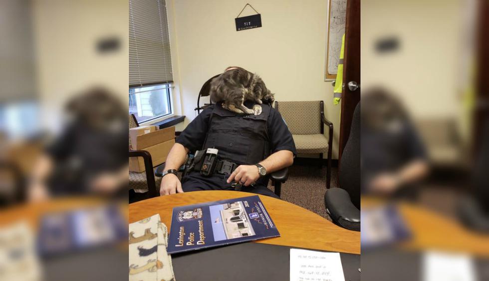 "Los oficiales siempre preguntan dónde está el gato cuando se toma el día o cuando no está en la oficina", afirma el responsable de la publicación viral. (Foto: Andy Simmons)