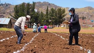 Midagri despide a nueve funcionarios de Agro Rural tras escándalo por compra de fertilizantes