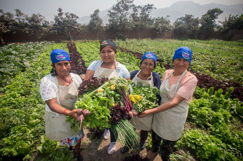 Madres de Carapongo sacan adelante cosecha de productos orgnánicos (Nadia Quinteros)