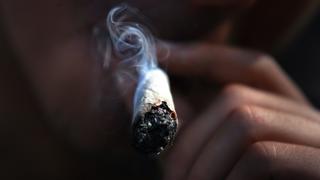 Se triplica número de consumidores registrados de marihuana legal en Uruguay