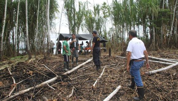 La organización indígena expresó su profunda preocupación frente a la extracción ilegal de madera “topa o palo balsa”, entre otras especies. (Foto referencial)