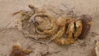 Chancay: Denuncian daños en zona arqueológica de Pisquillo Chico