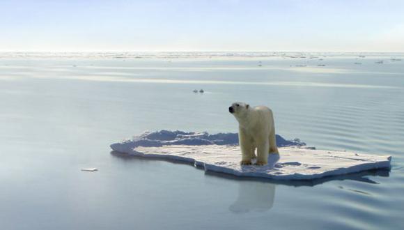 Se han decubierto más especies gracias al derretimiento del hielo de la Antártida. (USI)