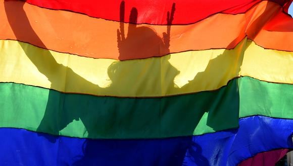 La sombra de un juerguista se proyecta sobre una bandera arcoíris durante la 22ª Marcha del Orgullo LGBT, cuyo tema es "50 años de Stonewall", en Brasilia, el 14 de julio de 2019. (Foto de EVARISTO SA / AFP)