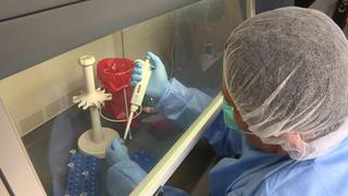 COVID-19: pruebas moleculares rápidas hechas en Perú ya se utilizan en el Hospital Hipólito Unanue