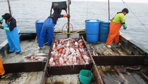Perú descata en España por sus avances en la pesca sostenible del calamar gigante. (Difusión)