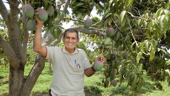José López, productor de mango en Chulucanas.