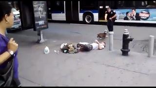 Video: Policía dispara a perro pitbull que defendía a su dueño desmayado