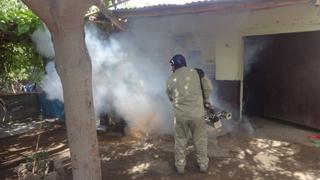 Casos de dengue se incrementan de manera alarmante en Piura