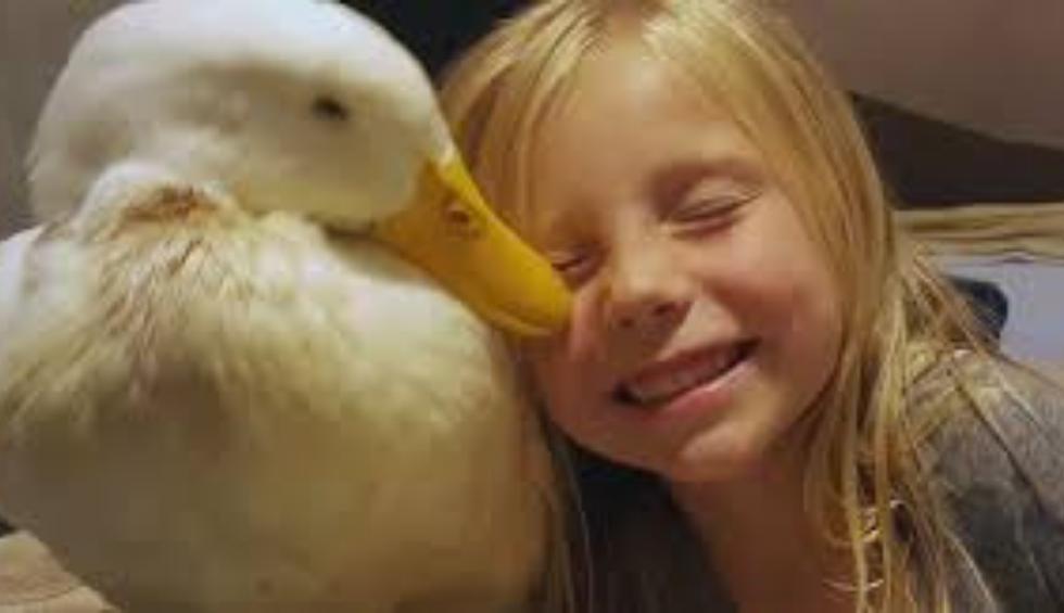 Una niña y su pato protagonizan una de las historias más tiernas que leerás en Internet. (Foto: CBS Sunday Morning)