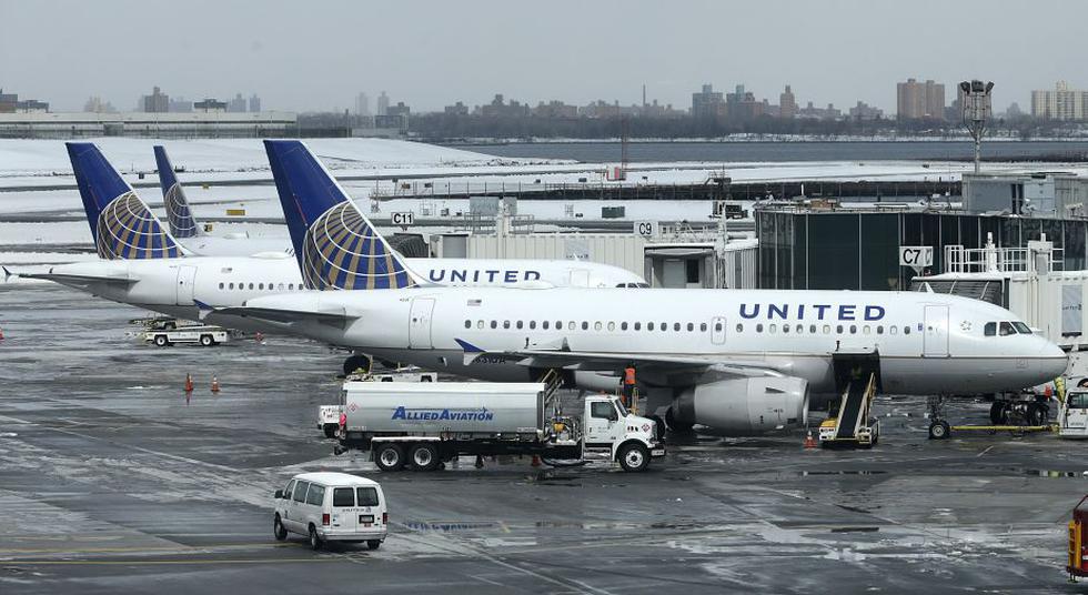 United Airlines: Pagan para que trasladen a su perro a Kansas, pero lo llevan a Japón por error.