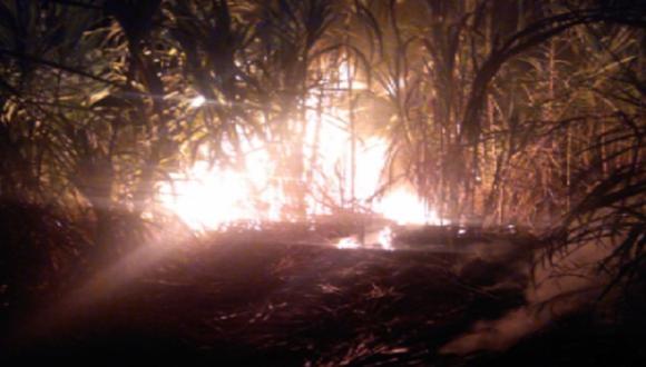 Incendio se reportó al promediar las 8:30 p.m. del último domingo en el sector de Poyor. (Andina)