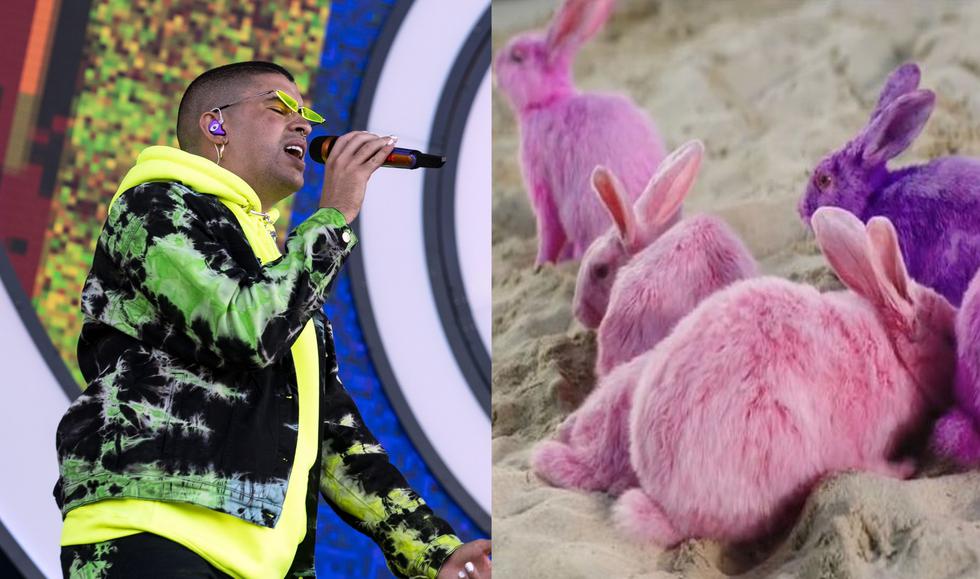 Bad Bunny causó polémica por "pintar" conejos para su videoclip. (Composición)
