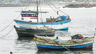 Produce implementará programa piloto para que pescadores artesanales realicen ventas digitales