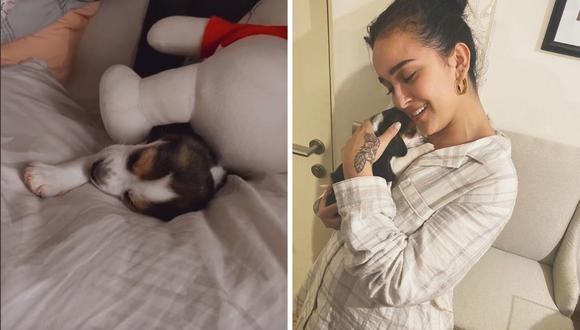 Daniela Darcourt contó en redes sociales que está muy feliz con la llegada de su mascota llamada "Baby Sammy". (Foto: Instagram / @danieladarcourtoficial).