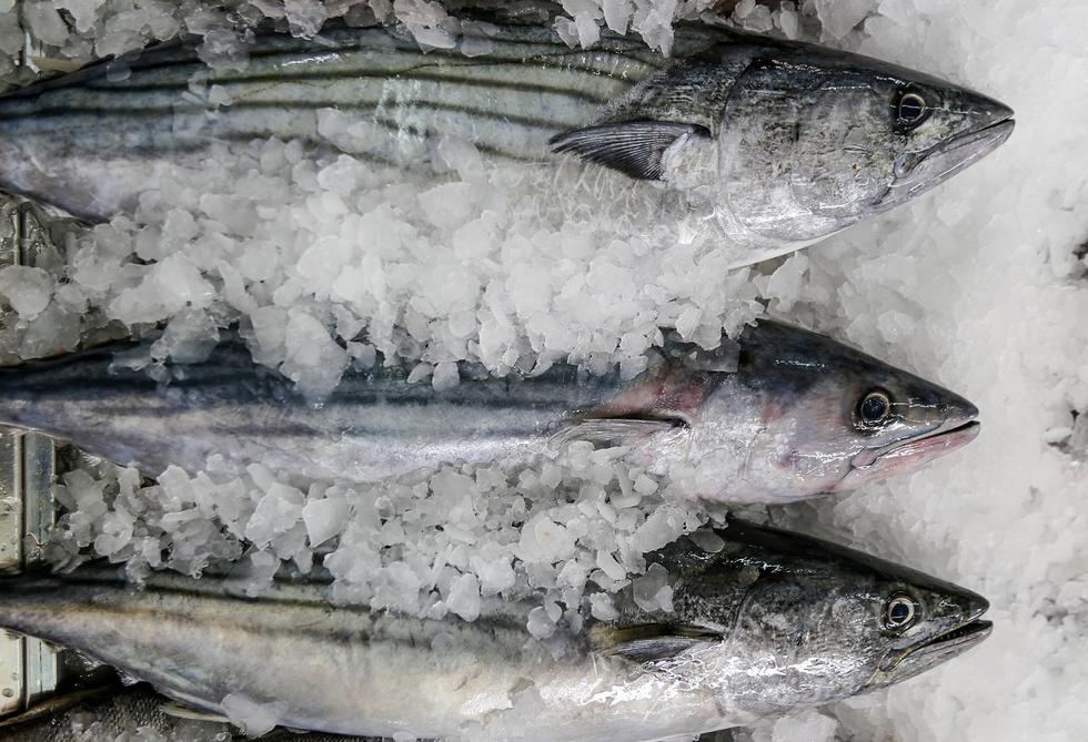Venderán pescado a precio accesible por el Día Nacional del Cebiche. (Produce)