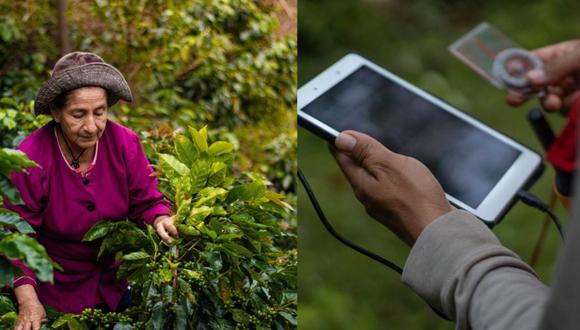 El proyecto AgroFor viene trabajando con una aplicación que permite recopilar datos de campo, apoyando a los agricultores familiares y brindando sostenibilidad a las políticas públicas.