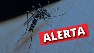 Más de 4 mil afectados y 12 fallecidos por dengue a nivel nacional