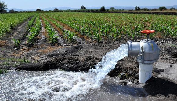 Agricultura y gestión de agua.