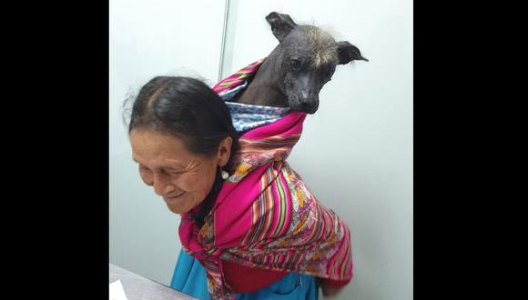 Doctor Pet 's Clínica Veterinaria - Cusco