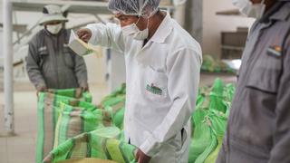 Gobierno bloquea la importación de quinua procedente de España por motivos sanitarios