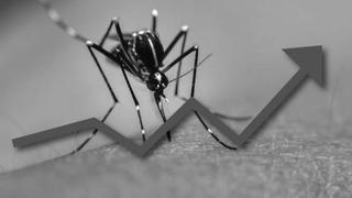 Muertes por dengue en Piura ascienden a 18 y ¿qué hace el Ministerio de Salud?