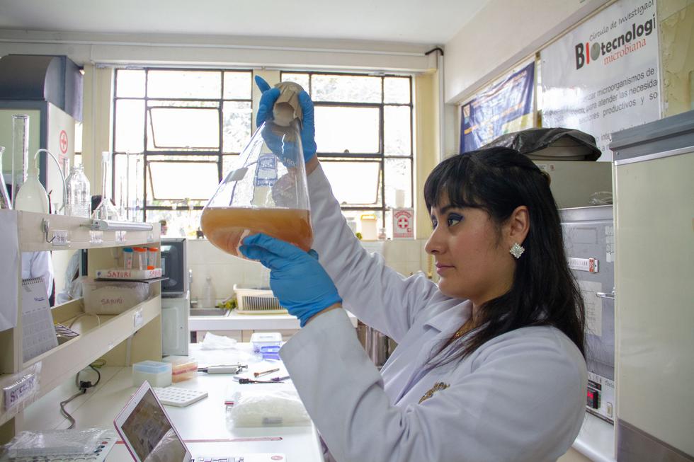 Peruana de 28 años ganó una beca que le permitirá realizar un doctorado en Ingeniería Bioquímica en The University College del Reino Unido.&nbsp;(Foto: Minedu)