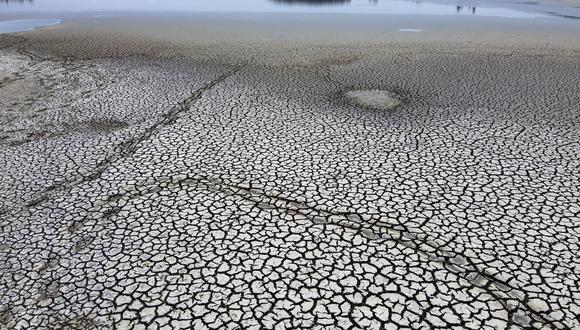Chile atraviesa grave sequía. (Martin BERNETTI / AFP)