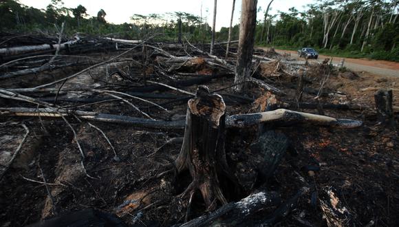 La deforestación es un grave problema en el Amazonas. (Foto: GEC)