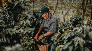 Huánuco: emprendimiento café ‘El abuelo Valdizano’ ganó en la categoría adultos imparables de Alianza Café