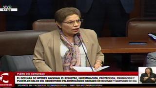 Luz Salgado: El Gobierno busca "echarle la culpa" al Congreso de sus "incapacidades"