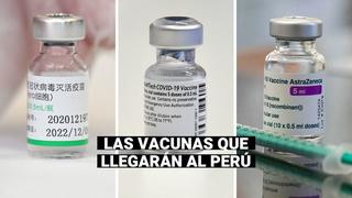 COVID-19 en Perú: Conozca cuántas dosis de vacunas llegarán mes a mes hasta enero de 2022