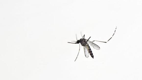 Especialistas sospechan que hay un vínculo entre el zika y un aumento de casos de SGB. (AFP)