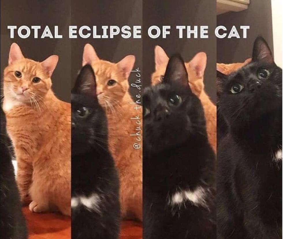 Estos son los divertidos memes del eclipse solar. (Facebook)