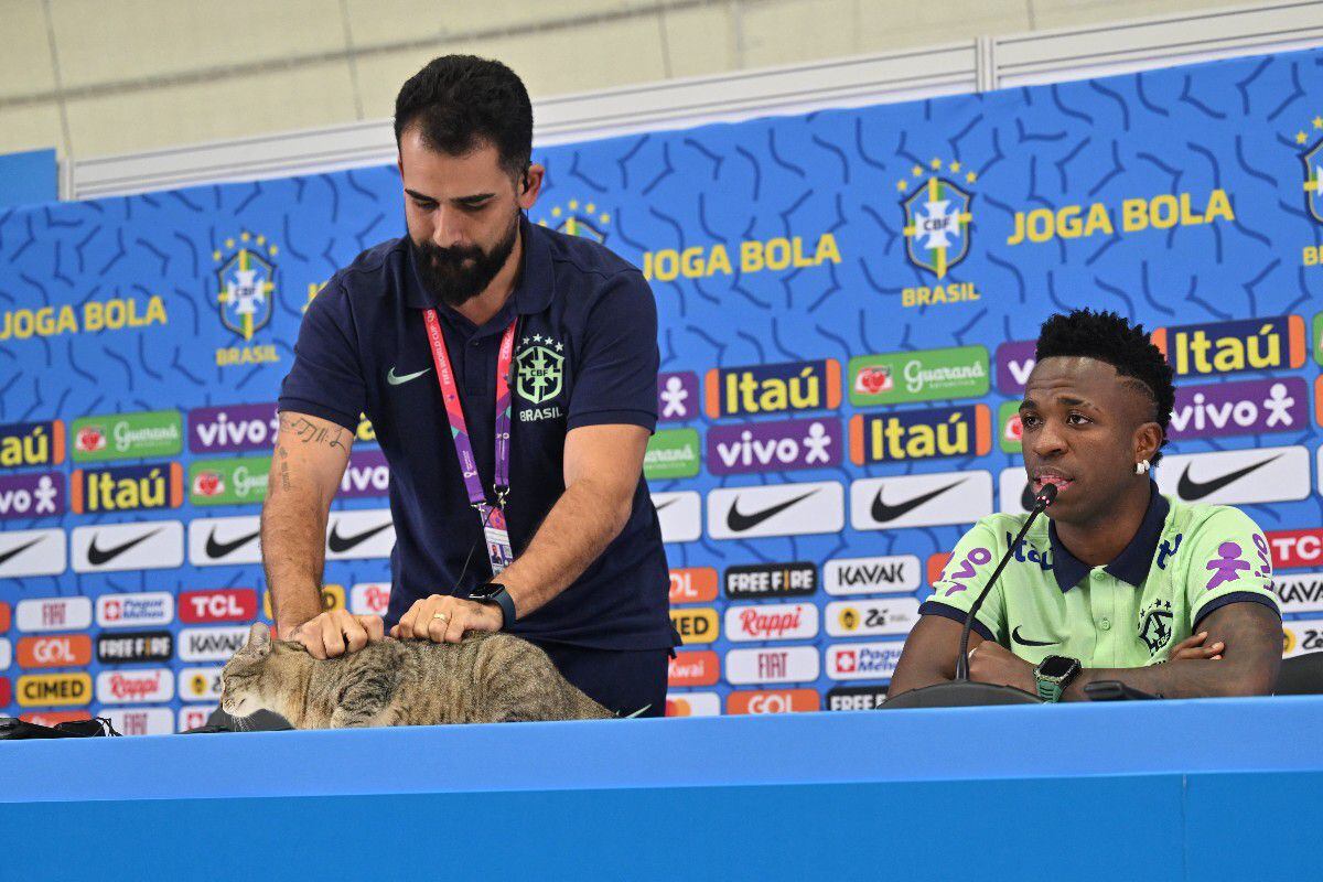 Brasil y la maldición del gato: maltrato, adopción y eliminación del Mundial Qatar 2022. (Foto: AFP)