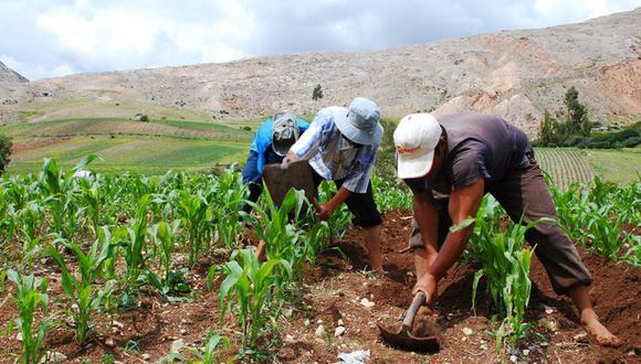 Gobierno no ha podido cumplir con su promesa de traer los fertilizantes y salvar la campaña agrícola 2022-2023. (Foto: GEC)